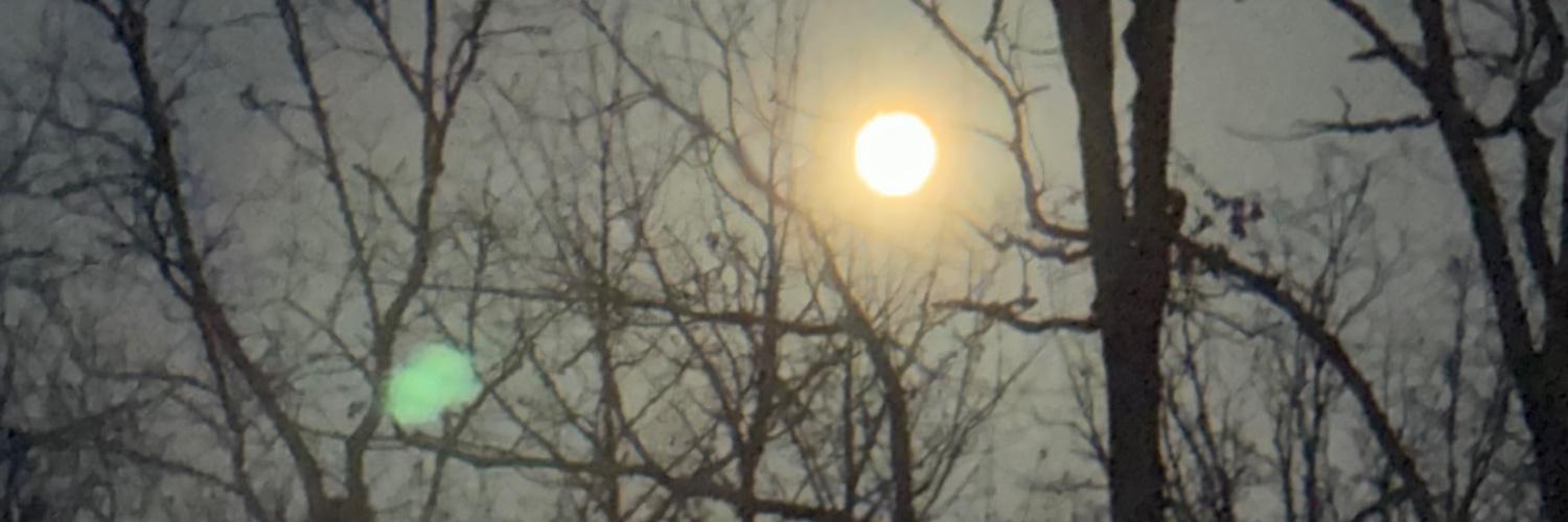allisondillier's profile banner image