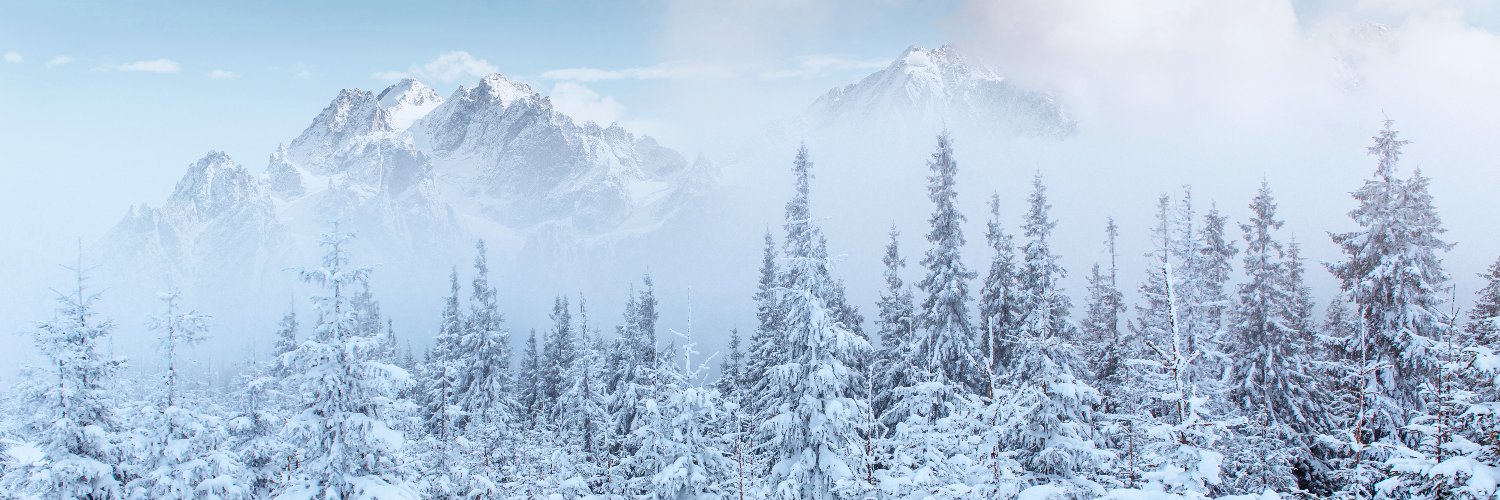 Winter_queen ❤️ Memecoin banner