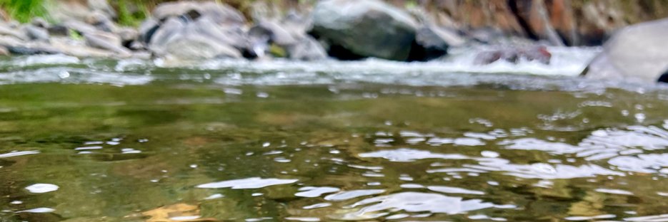 Proyecto Dulcepamba banner