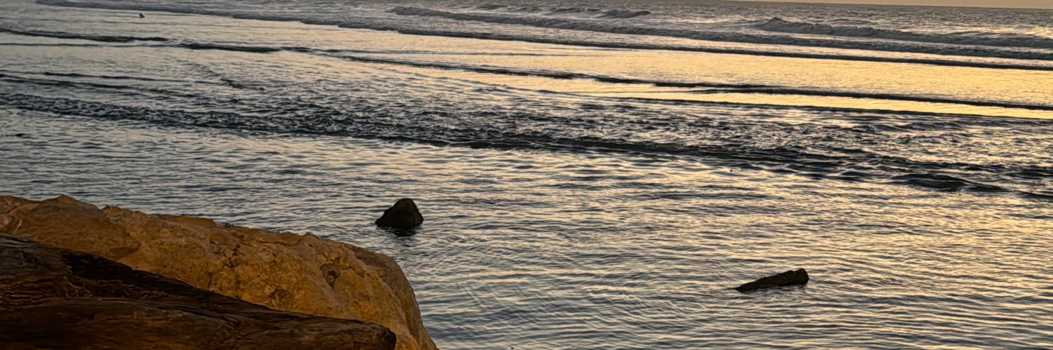 Mariiii banner