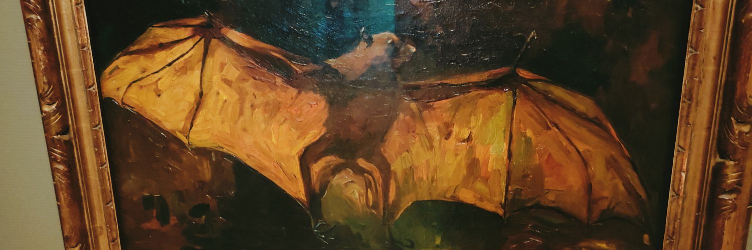 ortizon's profile banner image