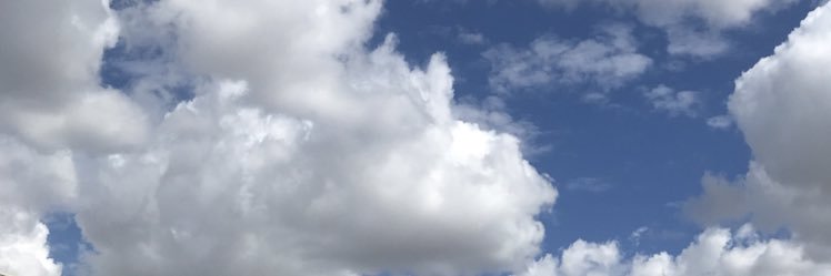appleoftheeyes2's profile banner image
