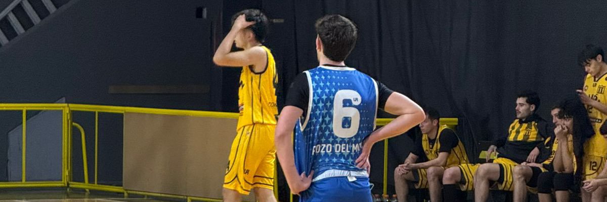 Fabri banner