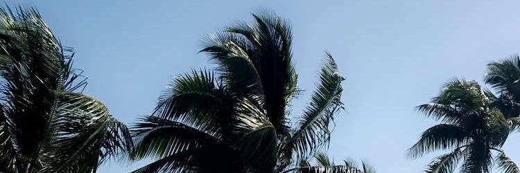 morrrgaan_'s profile banner image