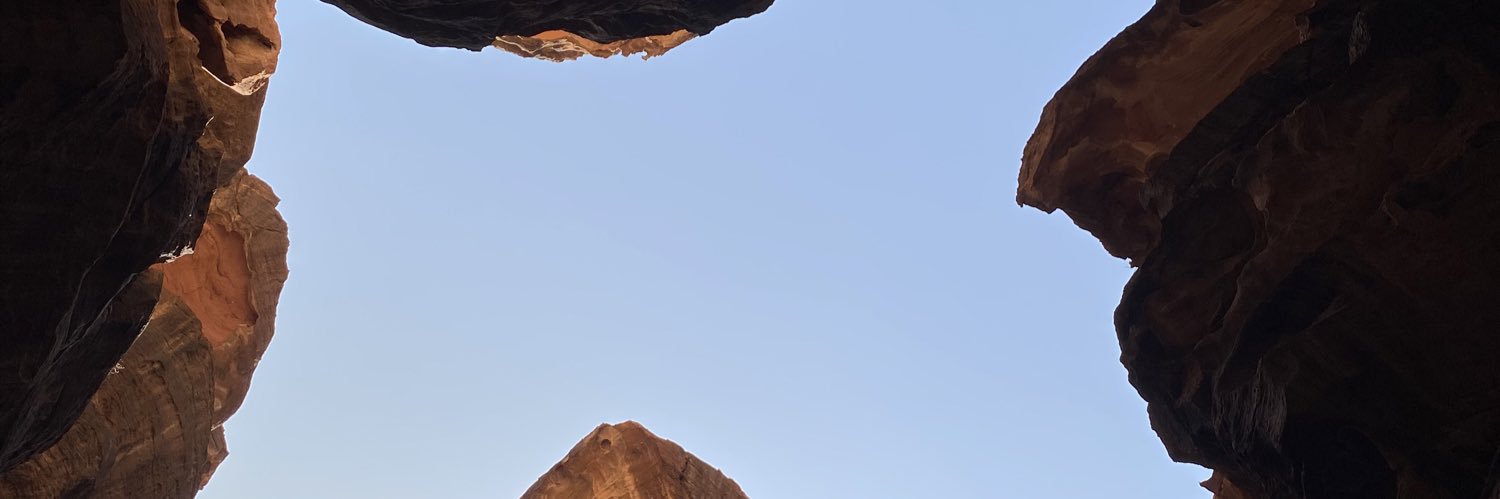 Guillaume Colleoni banner