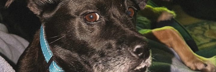 Jonasschulog2p's profile banner image