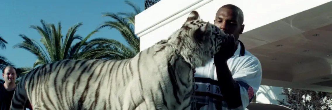 Bitcoin Tyson 🥊 banner