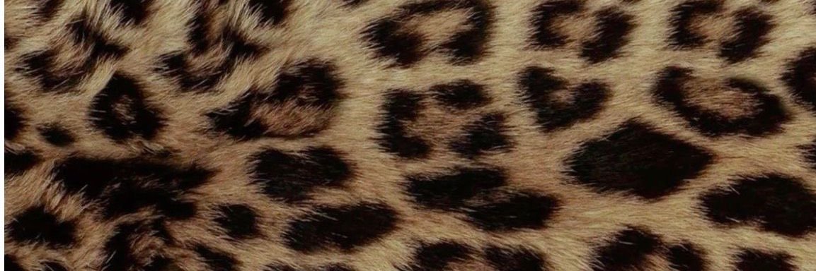 Mook45087's profile banner image