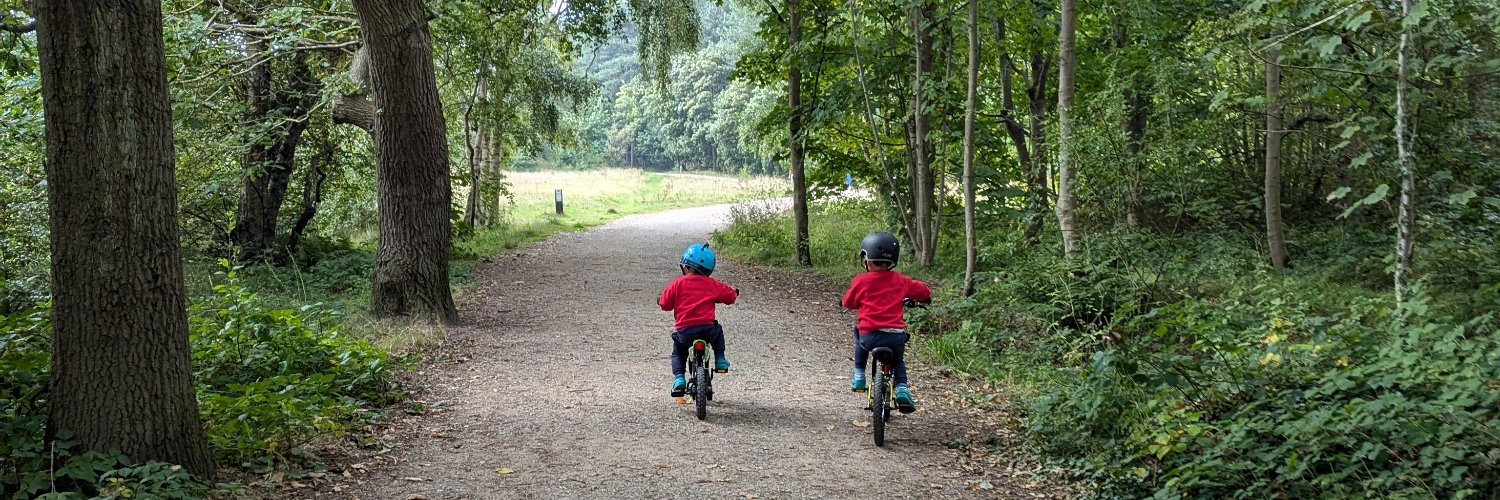 Emma Gillespie banner