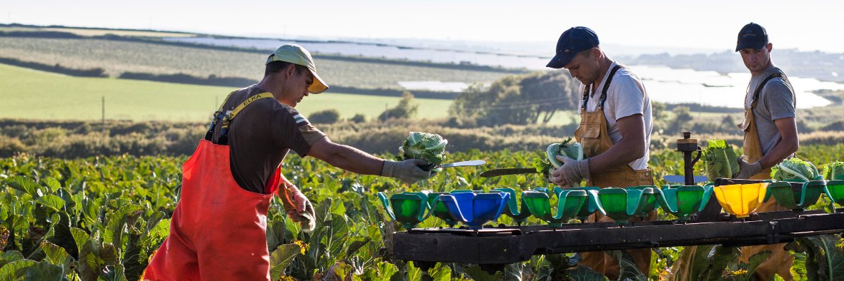 Cornwall Food&Drink banner