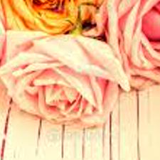 mairrr's profile banner image