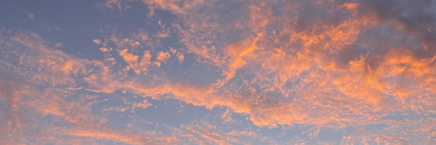 colibrita_'s profile banner image