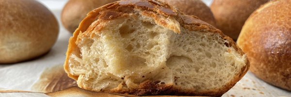 paperlemonade Profile Banner