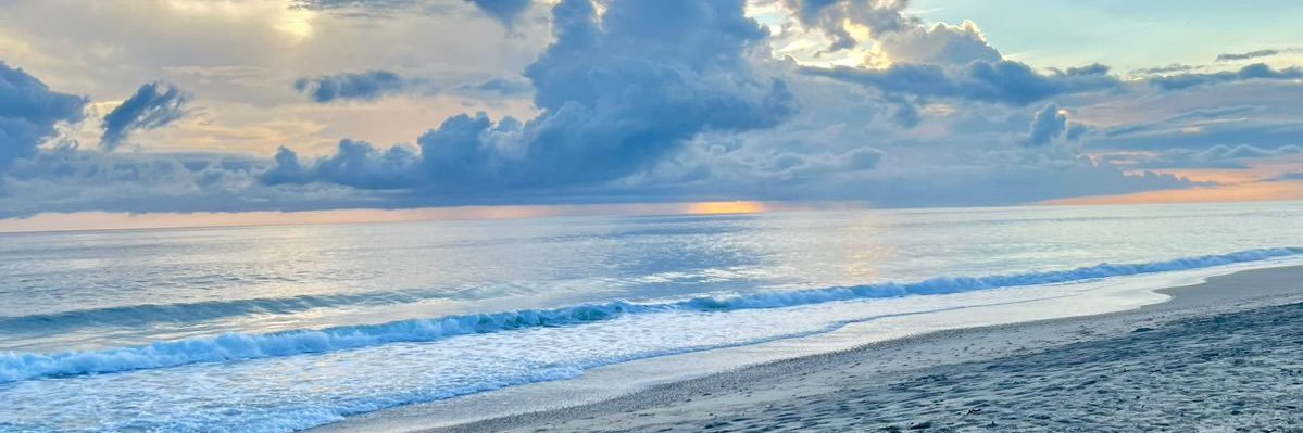 Shirley_981's profile banner image