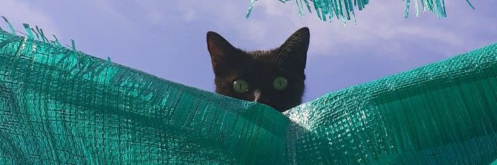 mariapaz3_'s profile banner image