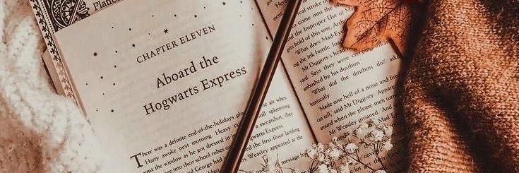 ‍˗ˋ 𝓖𝐢𝐧𝐞𝐯𝐫𝐚 𝓦𝐄𝐀𝐒𝐋𝐄𝐘 banner