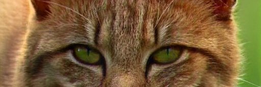 Michell97853674's profile banner image
