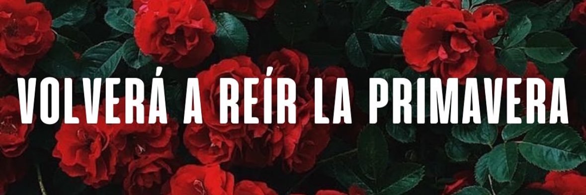 TitoGeremito's profile banner image