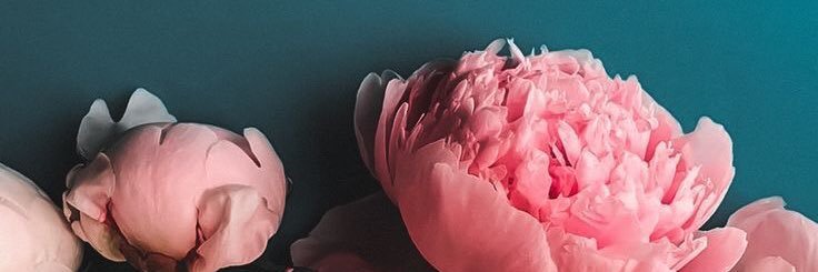 candy m banner