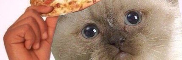 NepentzN Profile Banner