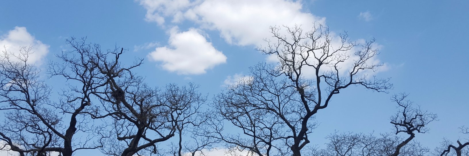moderntrust's profile banner image