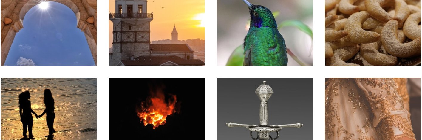 J(Wolf)/J Chng/Ch'ng FIRE HEART 🌵 semi-here banner