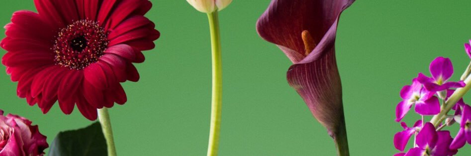 langface104's profile banner image