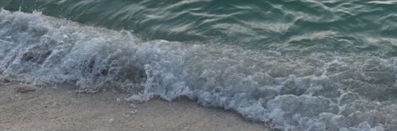 MiM banner