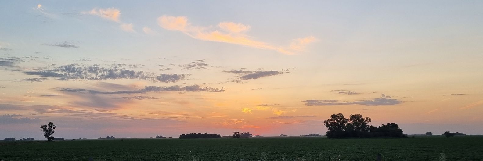 LPINF23's profile banner image