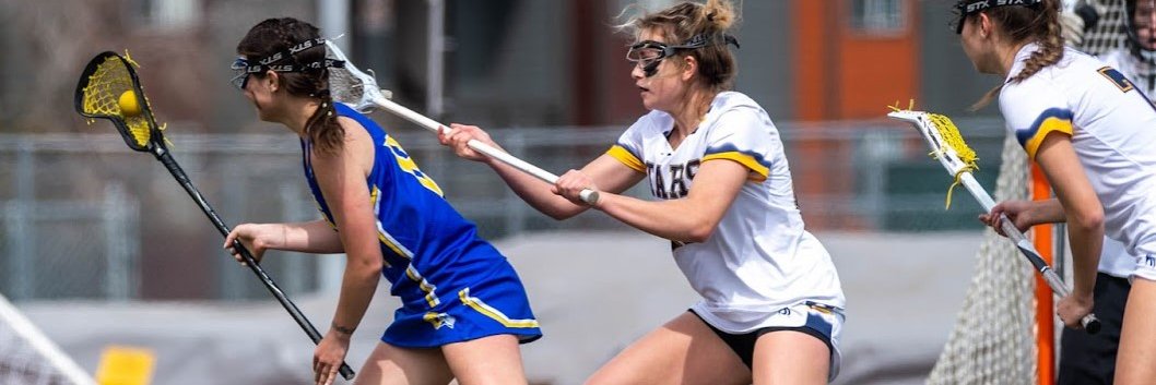 Cami Schachet banner