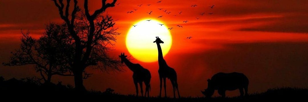 lnterestingVid's profile banner image