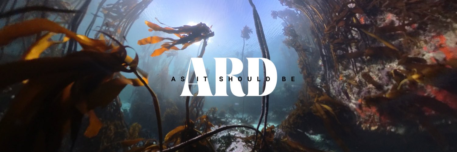 ardmatthews's profile banner image