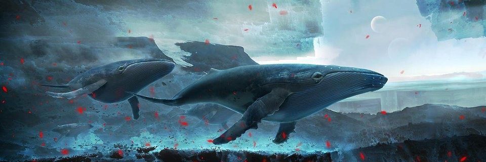 Avalonder's profile banner image