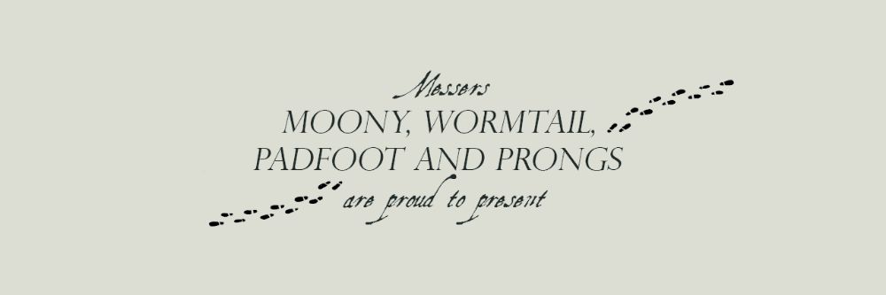 potter banner