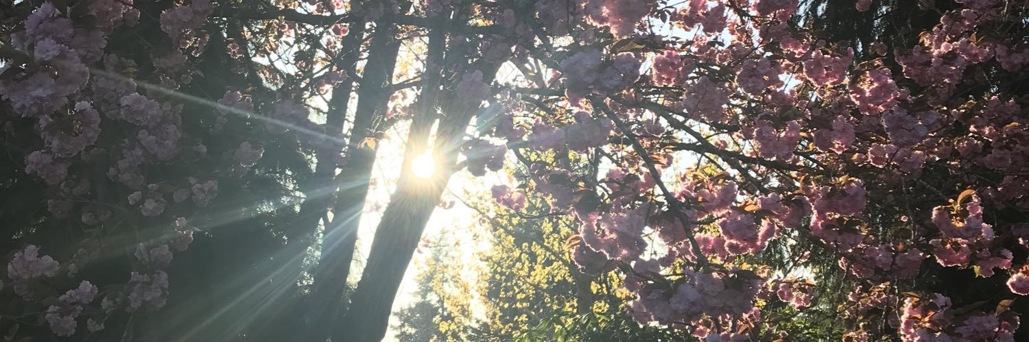 doclizz's profile banner image