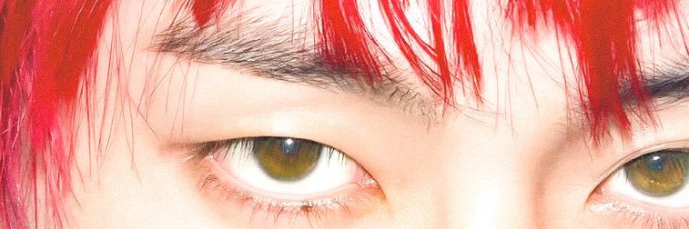 ! мєℓσsα ϟ pt 🐊/’̿’̿ ̿ ̿ banner