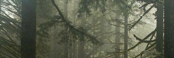 kieranduffies Profile Banner