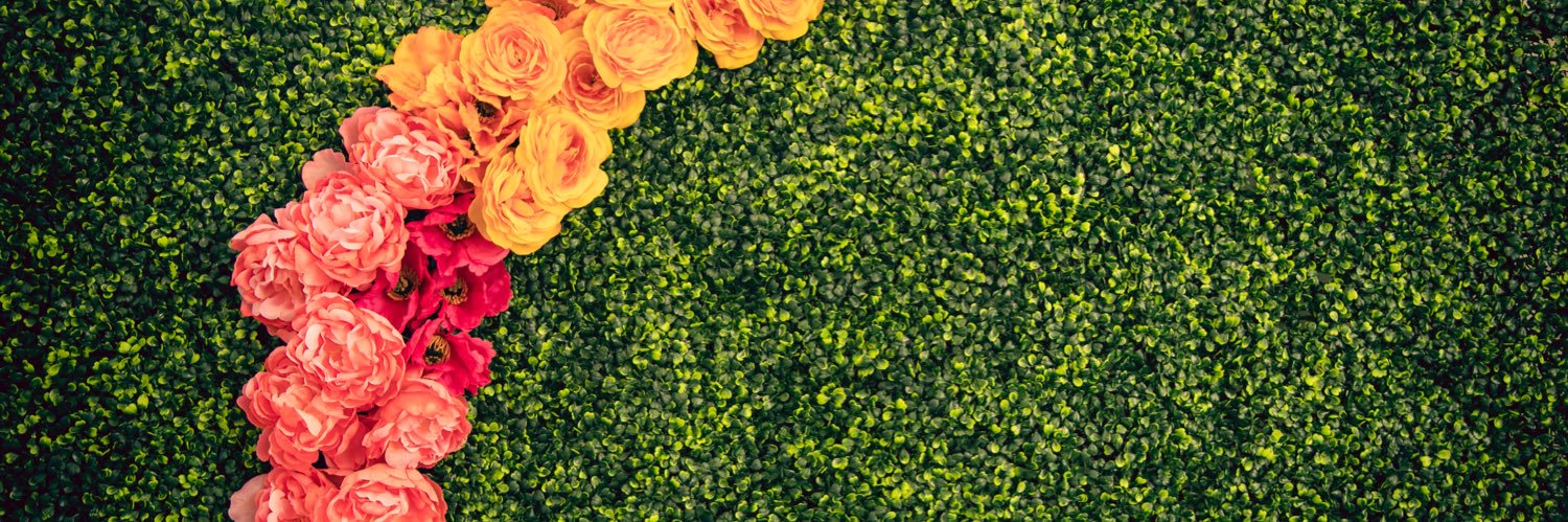 Crystal Lewis banner