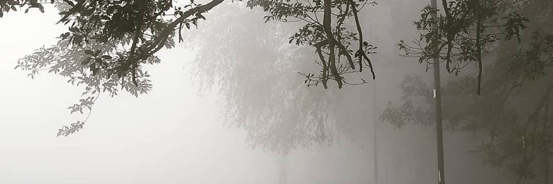 Viki banner