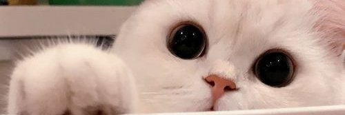 ETHNuomi's profile banner image