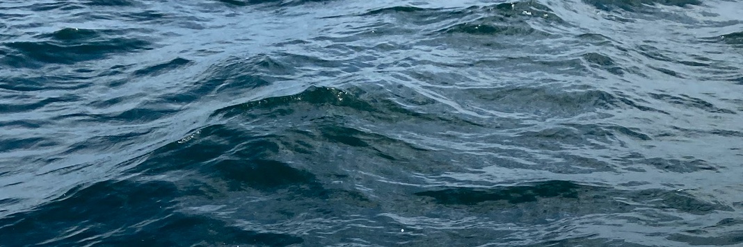 ansticesss's profile banner image