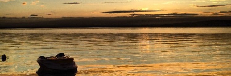 Brentley Weissman banner