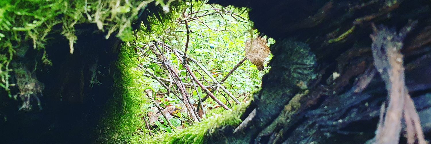 Vitalprofi Thomas Möller banner