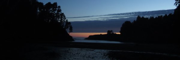 surfsquire Profile Banner