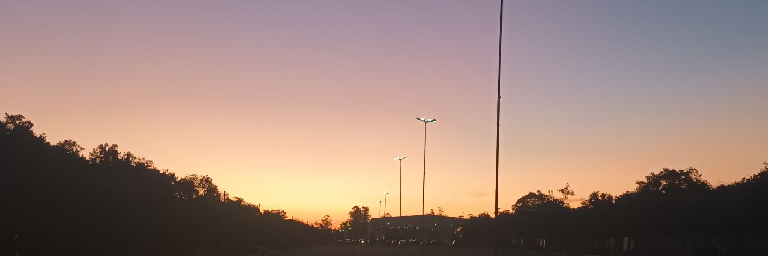 nique banner