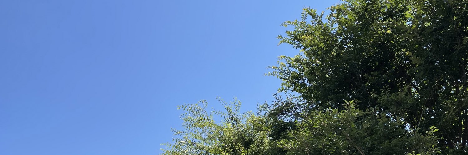T3105S's profile banner image
