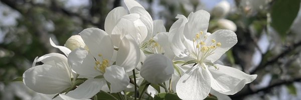 BeetrootEnjoyer Profile Banner