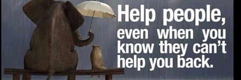 Alfafa’s Revenge banner