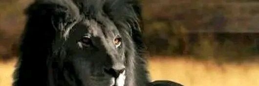 moramay Balza Incapie banner