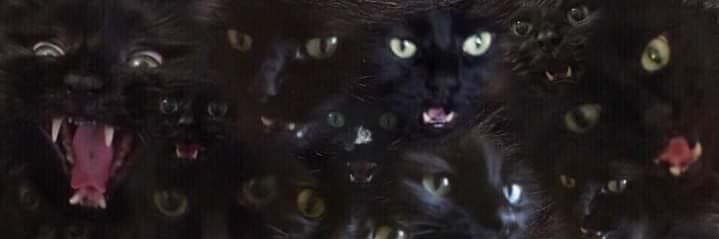 k8tbuns's profile banner image